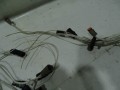 DSC03255.JPG