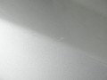 DSC04132.JPG