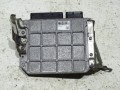 DSC04571.JPG
