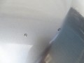 DSC04895.JPG