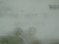 DSC05715.JPG
