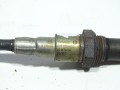 DSC06769.JPG