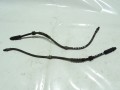 DSC07103.JPG