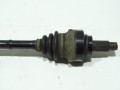 DSC07210.JPG