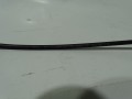 DSC09366.JPG