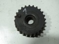 DSC00123.JPG
