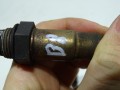 DSC07779.JPG