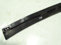 DSC08003.JPG