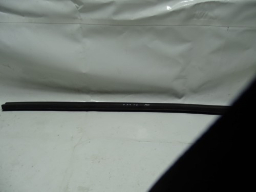 DSC08011.JPG