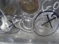 DSC00938.JPG