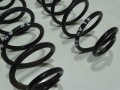 DSC08221.JPG