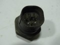 DSC01538.JPG