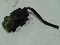 DSC01539.JPG