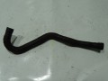 DSC01664.JPG