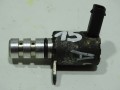 DSC08404.JPG