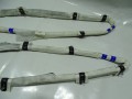 DSC08496.JPG