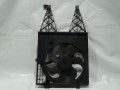 DSC01979.JPG