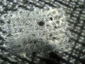 DSC08646.JPG