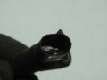 DSC02954.JPG
