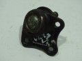 DSC03266.JPG