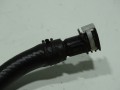 DSC08775.JPG