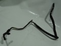 DSC08776.JPG