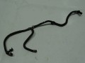 DSC08798.JPG