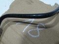 DSC08801.JPG