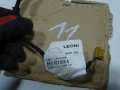 DSC08822.JPG
