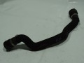 DSC08845.JPG