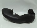DSC04894.JPG