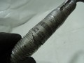 DSC05416.JPG