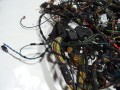 DSC05910.JPG
