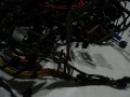DSC05911.JPG