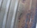 DSC09030.JPG