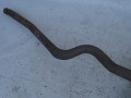 DSC09040.JPG