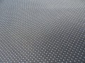 DSC09511.JPG
