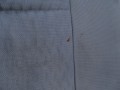 DSC09532.JPG
