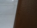 DSC09852.JPG