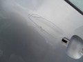 DSC01488.JPG