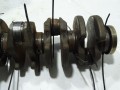 DSC03796.JPG