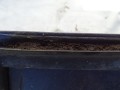DSC05593.JPG
