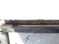 DSC06058.JPG