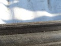 DSC08059.JPG