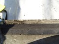 DSC08109.JPG