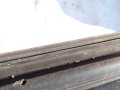 DSC08130.JPG