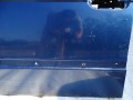 DSC08137.JPG
