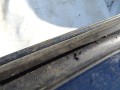 DSC08140.JPG