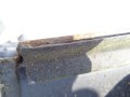 DSC08205.JPG