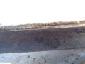 DSC08230.JPG